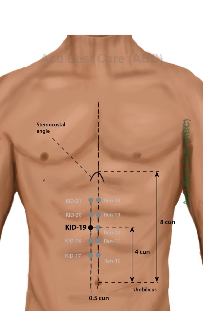 Acubestcare Meridian K-19 or KID-19